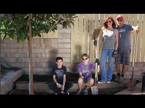 How to Build Raised Beds Part 3 - Filling with Compost