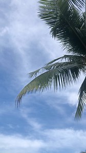 15th Hamilo Coast Costal Clean-up #coastalcleanup #hamilo #hamilocoast #batangas #nasugbu #nasugbubatangas #beachlife #beachvibes #beachday | Hamilo Coast Philippines | Facebook