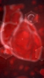 Proverbs 4:23 "Guard your heart above all else, for it determines the course of your life." #guard #life #determining #heart #scripture | Durban Christian Centre Jesus Dome