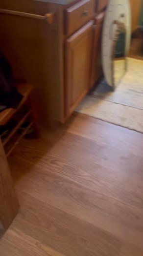 Color drenched this butlers pantry in Valspar Oakmoss ✨🫶🏻🤍 Added some gold feature and a beautiful painting 🫶🏻🫶🏻👌🏻👌🏻 Making spaces beautiful doesn’t take a lot of money but it does take love and time to cultivate 👏🏻👏🏻…. Thinking of painting my Sink white with some gold hardware (don’t come after me, we don’t use this sink much 😂) | Emily Stewart