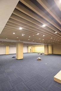 [Hot Item] Versatile Polypropylene Carpet Tiles for Office and Conference Rooms