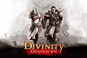Divinity Original Sin Level Up Guide