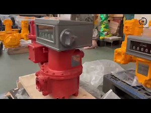 PD rotary vane flow meter for diesel fuel #flowmeter #flowmeters #fuel #oil