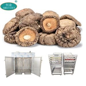 [Hot Item] Dehydrating Machinery Drying Vegetable Hot Air Mushroom Drying Machine