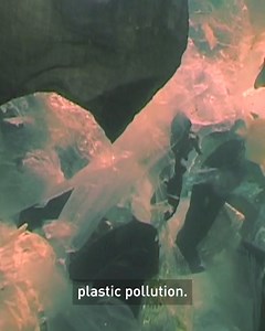 Dare yourself to imagine a better world is possible. Join Greenpeace today. | Greenpeace UK