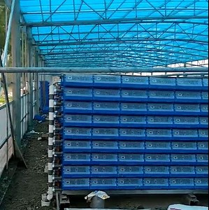 [Hot Item] Wholesale Complete Vertical Recirculation Aquaculture System for Carb