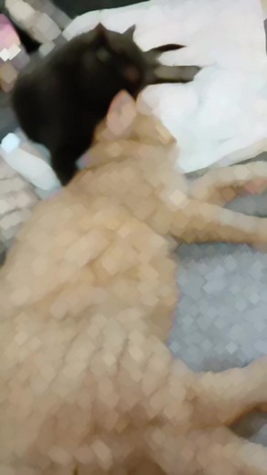 30K views · 3.8K reactions | Obu jage orix | Obusayang89 | Facebook