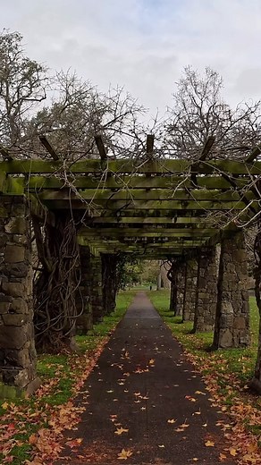 18 reactions | #cemetery #cemeteryphotography #grave #graveyards #shots #necropolis #cemeteries #gothic #taphophile #project #gravestone #cemeterywandering #cemeterylovers #death #dead #photography #graveyardphotography #affair #fanatics #tombstone #nation #life #graves #dark #art #taphophilia #bhfyp #urbex #urbanexploration | Crypt Door | Facebook
