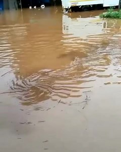 40K views · 272 reactions | Python spotted yesterday at Valpoi, Sattari, Goa.. | Marvelous belgaum | Facebook