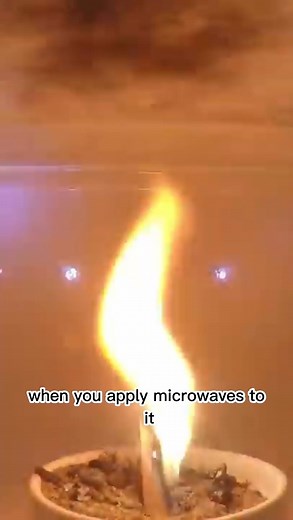 Microwaving a Fire is 👌 #reels #microwave #fire #science #popular #viralreels | The Action Lab