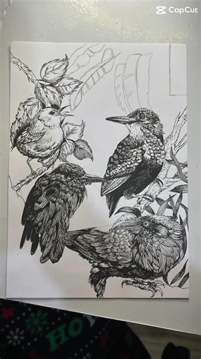 Original Illustration “tropical Birds” – Hand-drawn Pen & Ink Artwork on Ivory A5 Cardstock - Etsy