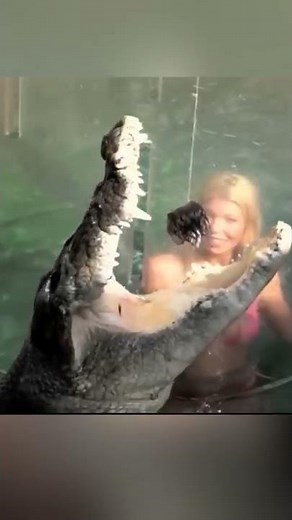 Les piscines les plus dangereuses du monde