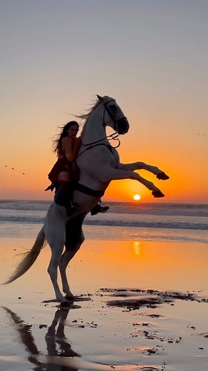 Cheval Essaouira 🐎 on Instagram: "Paint your life with sunset colors ✨🎨🐎 Embrace the enchantment of Morocco’s coastline as we embark on a mesmerizing horseback adventure during the golden hour 🐴🌅. The rhythmic sound of hooves on the sandy shores, the gentle breeze, and the warm hues painting the sky – it’s a symphony of nature and horsemanship coming together. Riding into the sunset on the Essaouira beach in Morocco is an experience like no other. 🏇✨ —- 📸 : @cheval__essaouira —- #cheval #