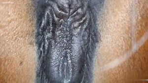 Cum in mare pussy.