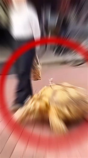 1K views | Rare Photos That Actually Surprise You! 勞 | OK Boomer | Facebook