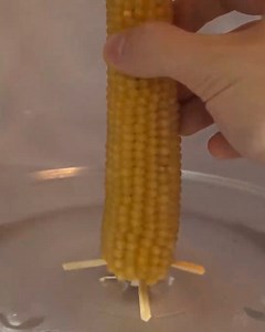 Corn Microwave = | NileRed