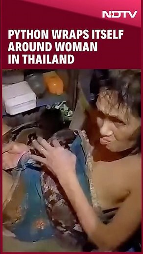 Thailand Python Attack | Python Wraps Itself Around Woman In Thailand