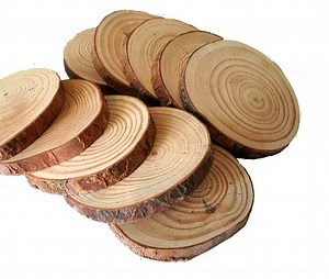 [Hot Item] Large Natural Wood Slices Round Rustic Slabs Wooden Tree Log Slices for DIY Crafts