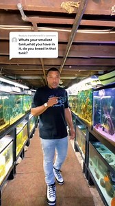 My smallest aquarium #aquariumlife #aquariums #aquariumfish #fish #FishTank | Boss Aquatics