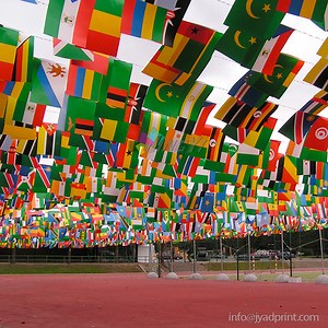 [Hot Item] Printed Pennant String Flag for Customized Home Decoration