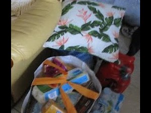 Retour de courses Lidl