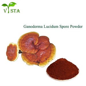 [Hot Item] Natural Mushroom Extract Polysaccharides Reishi Mushroom Dry Powder Shell Broken Ganoderma Lucidum Spore Powder