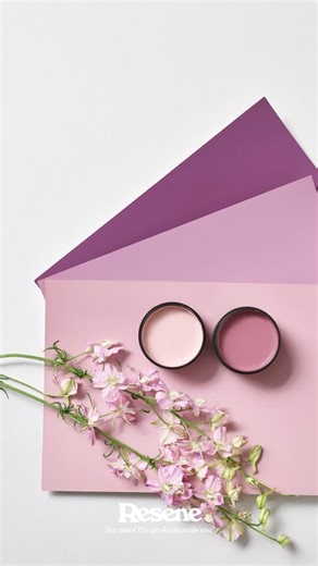 What colour are you? | Resene