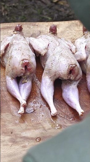 Exquisite Hang-Roasted Partridge: A Delightful Recipe with Special Sauce