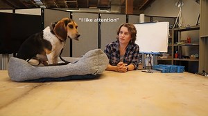 Learn how to draw dogs because life is hard, and dogs make everything better! Each class features a dog supermodel. You’ll learn dog anatomy and techniques for quick sketches and finished drawings, and if you’re lucky, maybe you’ll get your face licked. This four-week class starts Nov. 9, so reserve your spot to meet a furry supermodel today! Learn more and register: okcontemp.org/Shoeshine | Oklahoma Contemporary