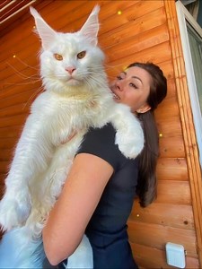 3.3K views | A famous '90s star and actor of many movies has become a proud grandpa of two wonderful kids, thanks to his ex-wife!‍‍‍It sounds unreal!How did this happen?➡️It’s an incredible story that you won’t believe. Find out the name of the star and the amazing details about his family in the top comment below. ⬇️⬇️⬇️ | Danny S. Simone | Facebook