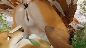 Egg Thieves Animation