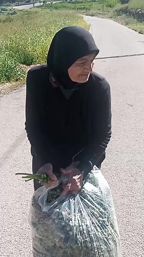 فيفيان على TikTok