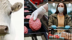 Inside America's Food Supply Chain Under Covid-19