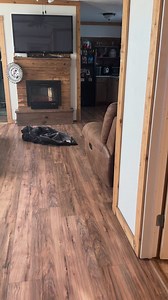 184K views · 10K reactions | He survived the night #gunner #shirtlessjake #hound | Shirtless Jake's Homestead | Facebook