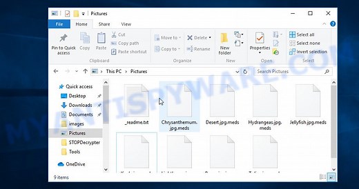 .Meds file extension. How to remove virus. Restore .meds files.