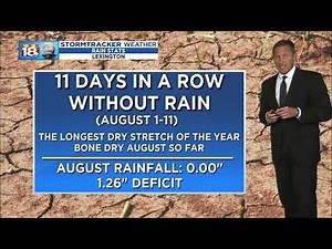 LEX 18 Weather At Noon: August 12, 2019