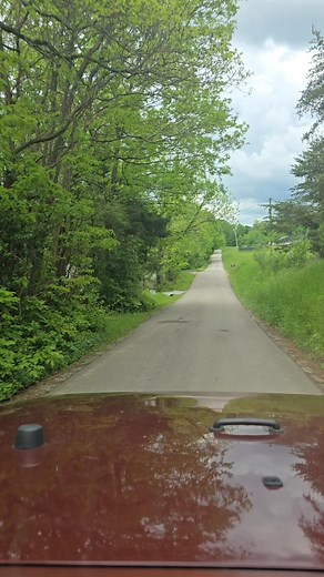 Courtney Maynard on Reels