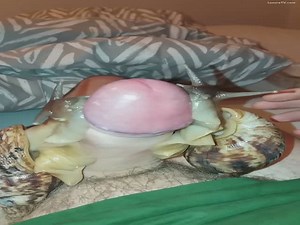 Man masturbates with snails in freaky animal porn