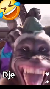 21K views · 656 reactions | #fetesdefindannee #foryouシ #pov #prevention les fêtes arrivent à grand pas, ne montez pas avec n'importe qui en voiture !!!! | Dje Mtt | Facebook