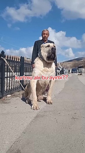 Murat Akbaş TikTok'ta