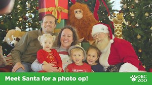 41 reactions · 17 shares | Have a cup of cheer and a plate of festive food at Breakfast with Santa – happening the next two weekends in December! Guests will enjoy a delicious hot breakfast buffet, a hot chocolate bar, cookie decorating for kids, a special sea lion presentation and little ones will be wide-eyed as they get their picture taken with Santa. To learn more and reserve your spot at www.okczoo.org/breakfast-with-santa! | Oklahoma City Zoo and Botanical Garden | Facebook