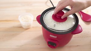 Dash Mini Rice Cooker - Designed for Single-Serve Cooking - Compact Rice Cooker with Nonstick Removable Pot, Keep Warm Function & Easy-to-Clean Sleek Design - White