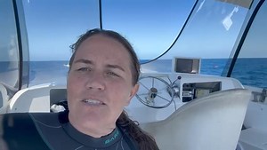 20 reactions · 4 comments | Discover an unforgettable dive experience at the iconic Yongala wreck, nestled in the breathtaking Magnetic Island! Dive with Pleasure Divers Magnetic Island and delve into the wonders beneath the waves.  #GreatBarrierReef #DiveAdventures | Abyss Scuba Diving | Facebook