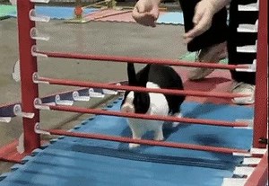 3.3K views | Focus on the Solution not the Problem  #BIZBoost  | BIZBoost Inc. | Facebook