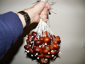 How to Play Conkers.
