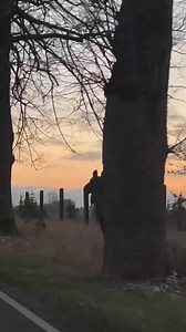 🔴 Wczoraj w okolicach Wielkiego Klincza, naszej czytelniczce @Karolina Pobłocka udało się sfilmować łosia 🔽🎥 | koscierzyna24.info