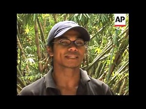 Phuket project fights gibbon extinction