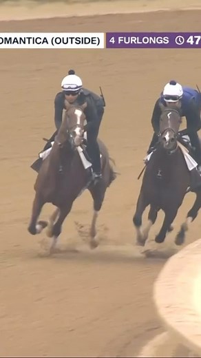 4.3K views · 412 reactions | Gina Romantica with a big Breeders’ Cup work at Keeneland today! | FanDuel Racing | Facebook