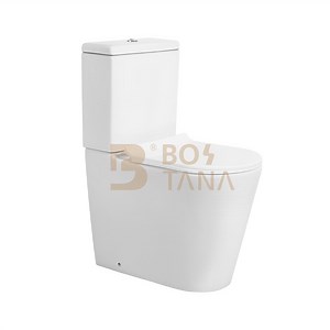 [Hot Item] Watermark Toilet Dual Flush Wc Square P-Trap Bathroom Two-Piece Toilet