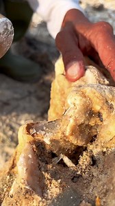 70K views · 939 reactions | Digging up $999 worth of rocks, on a cliff from a former gold mine. #digging #rocks #goldmine #gemstone #digginggemstone #menggalibatu #huntinggear #freedom #photography | Jonnaidi Jhon Diamond | Facebook